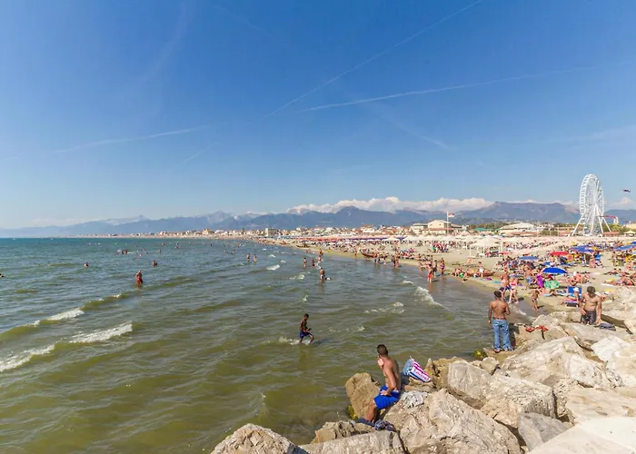 Апартаменти Awesome In *